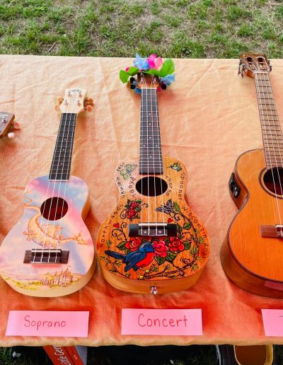five ukuleles on a table with labels sopranissimo, soprano, concert, tenor